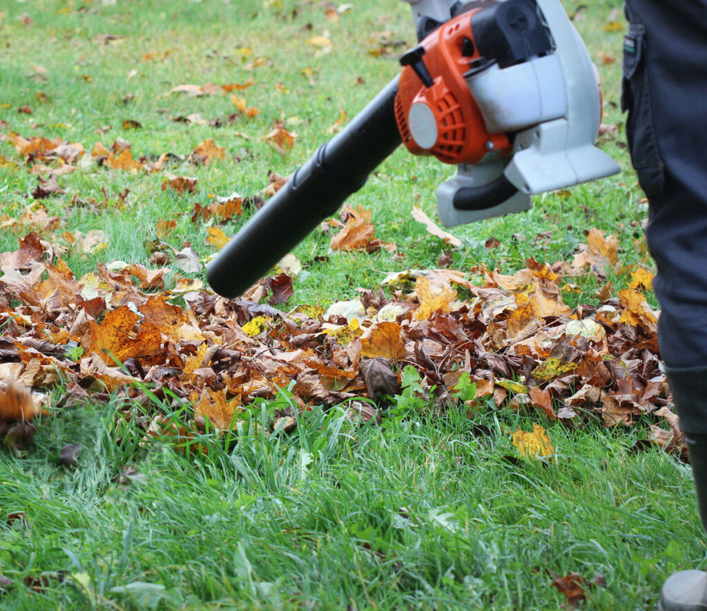 gartenservice