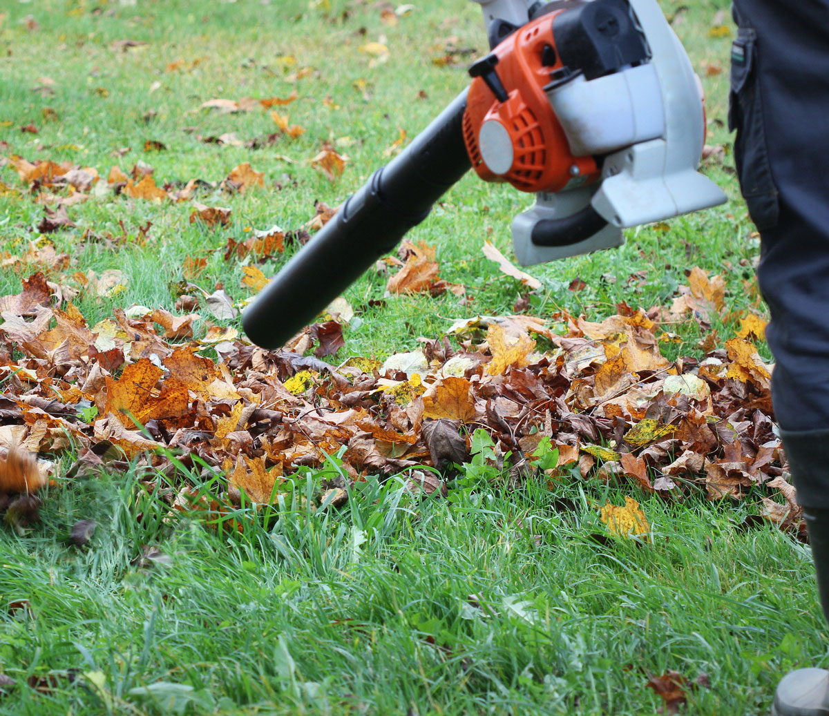 gartenservice